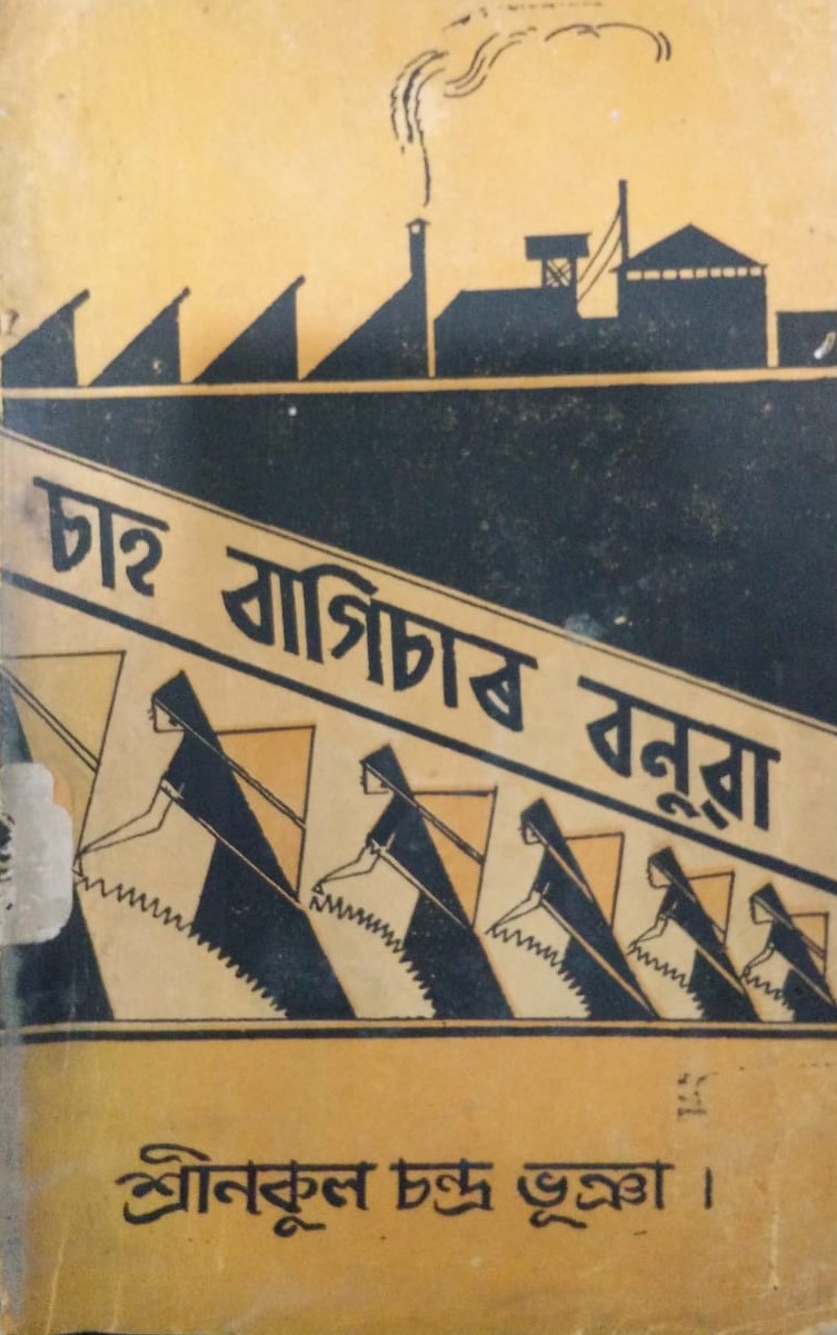 collection logo