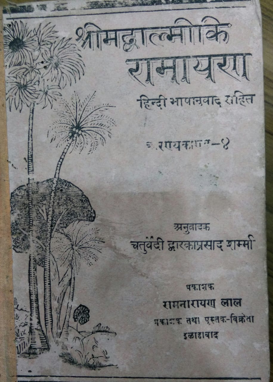 collection logo